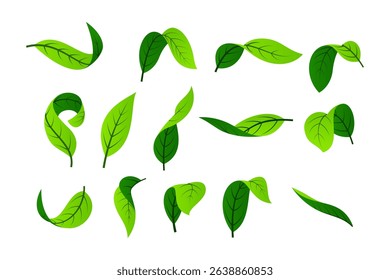 Green leaf vector. Leaves of trees and plants. Nature elements.