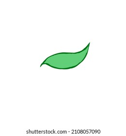 green leaf vector, for logo