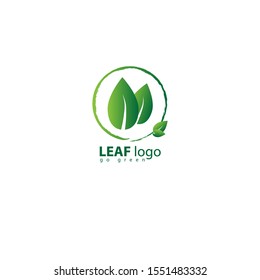 Green leaf vector logo design, eco friendly concept. vector template
