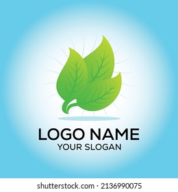 Green leaf vector logo design, eco-friendly logo concept
