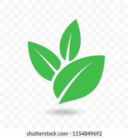 Green leaf vector logo for eco, bio or vegan concept design. Isolated leaves icon on transparent background with shadow