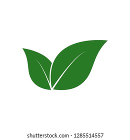 Green leaf vector logo template