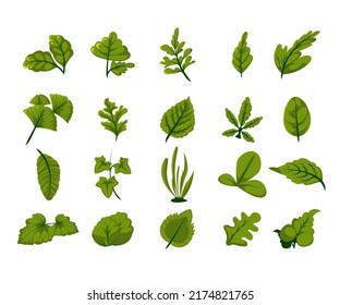 ilustración de naturaleza de vector de hoja verde conjunto estilo plano