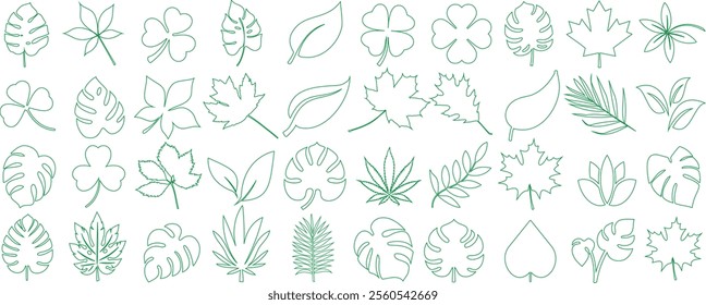 Green leaf vector outlines, minimalist leaves line art design featuring maple, palm, monstera, clover, oak, and cannabis shapes, ideal for nature themes, eco friendly branding, or botanical background