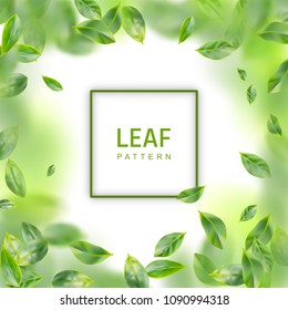 Green Leaf Vector Realistic 3d Background. Creative lush Greenery Summer Pattern with Ficus Leaves or Tea Leaves