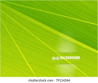 Green leaf vector texture background