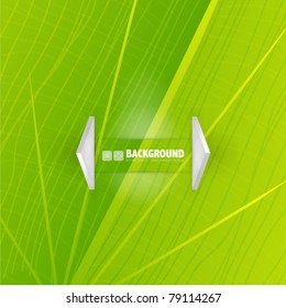 Green leaf vector texture background