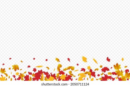 Green Leaf Vector Transparent Background. Realistic Leaves Frame. Colorful Abstract Floral Texture. Down Illustration.