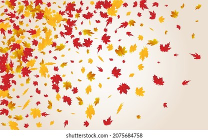 Green Leaf Vector Transparent Background. Paper Leaves Card. Colorful Flying Floral Frame. Isolated Template.