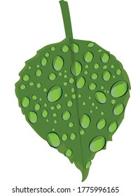 VECTOR DE HOJAS VERDES CON GRANOS DE AGUA