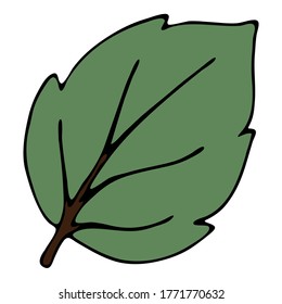 green leaf with veins, doodle style vector element, black outline