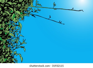 Green Leaf Vine Sky Background