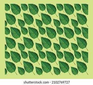 green leaf wallpaper design and art 