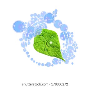 green leaf with water bubbles. Vector