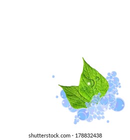 green leaf with water bubbles. Vector