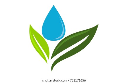 Green leaf and water drop 