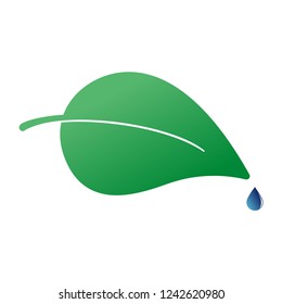 Green leaf with water drop icon