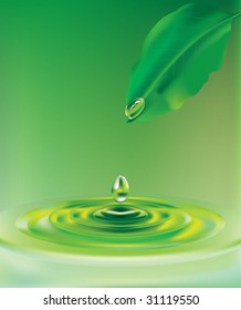 Green leaf with water droplet