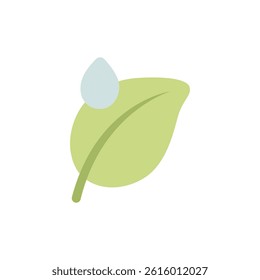 Green Leaf with Water Droplets