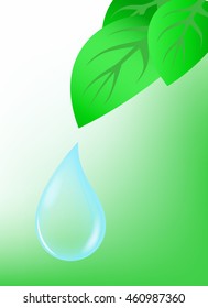 Green leaf with water drops
