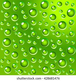 Green leaf with water drops dew background, vector illustration.