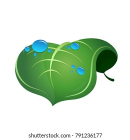 Green leaf with water drops environmental symbol