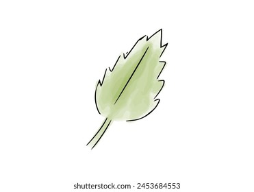 Hoja verde acuarela doodle elemento, Ilustración vectorial.