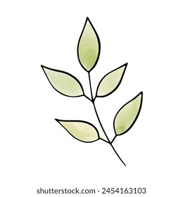 Green leaf watercolor doodle element, vector illustration.
