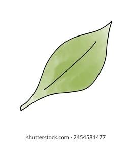 Green leaf watercolor doodle element, vector illustration.