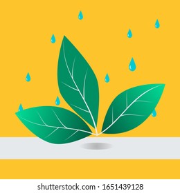 Green Leaf with the waterdrop on orange background. Designed for Organic Logo.