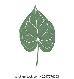 Green leaf with white lines. Vector illustration isolated on white background. 