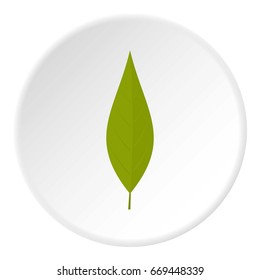 Green leaf of willow icon in flat circle isolated on white background vector illustration for web