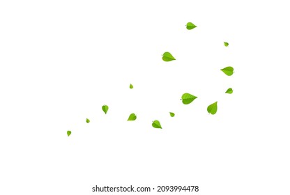 Green Leaf Wind Vector White Background Branch. Forest Leaves Template. Lime Foliage Falling Illustration. Greens Organic Plant.