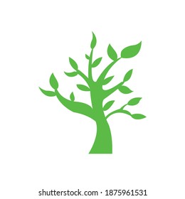 green leafed plant on a clean white backdrop