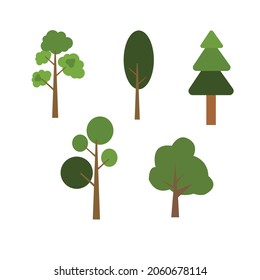 green leafed tree brown tree white background