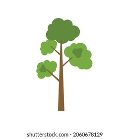 green leafed tree brown tree white background