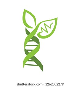 green leafs and DNA helix. logo icon