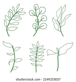 Green leafs doodle hand drawn nature icon style vector and illustration.