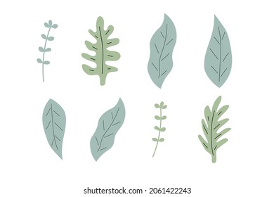 Green leafs doodle set. Vector hand drawn botanical illustration. Isolated objects on white. Scandinavian style design. 