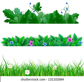 Green Leafs And Grass, Isolated On White Background. Vector Illustration
