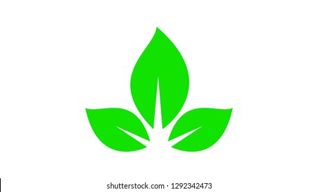Green leafs icon vector isolated on white background