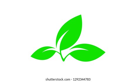 Green leafs icon vector isolated on white background