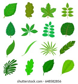 Green Leafs Icons Set Cartoon Illustration Stock Vector (Royalty Free ...