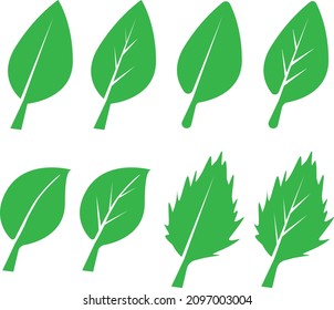 icono del vector aislado de hojas verdes