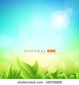 Green leafs natural on blue sky background, vector illustration