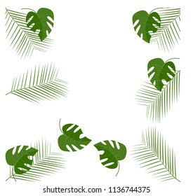 green leafs of plant on white background.vector
