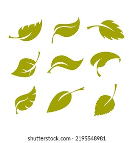 Green leafs set vector illustration design isolated