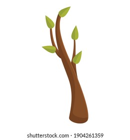 Icono de rama de árbol de hojas verdes. Dibujo de hojas verdes icono vectorial de rama de árbol para diseño web aislado en fondo blanco
