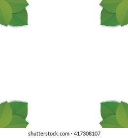Green Leafs. Vector illustration and Background.
