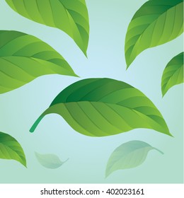 Green leaf.Vector illustration Eps 10.